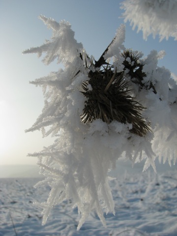 ScholaInNatura Fotogaleria