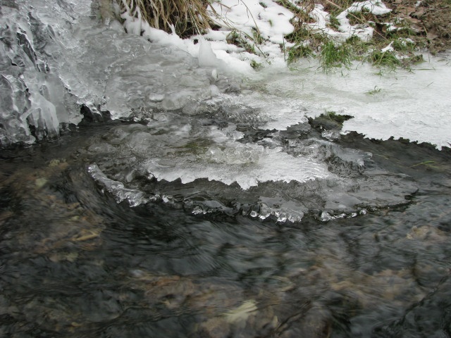 ScholaInNatura Fotogaleria