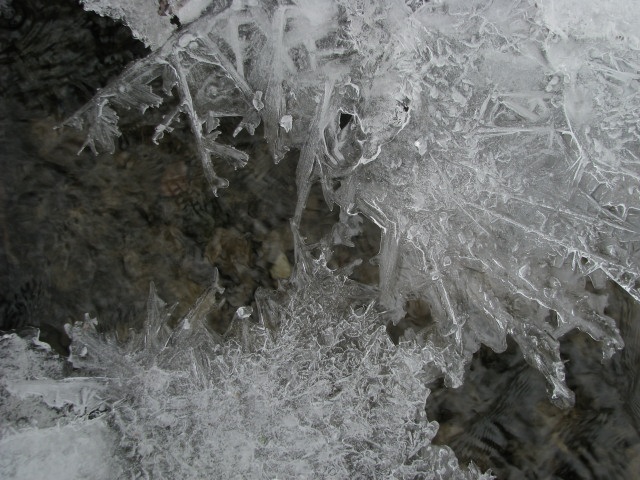 ScholaInNatura Fotogaleria