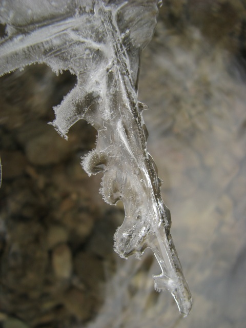 ScholaInNatura Fotogaleria