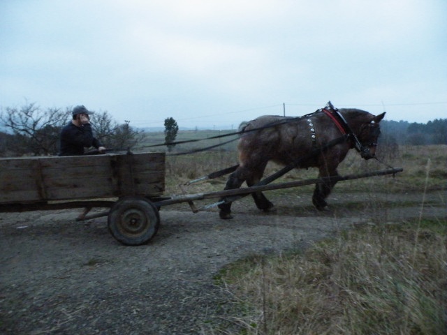ScholaInNatura Fotogaleria