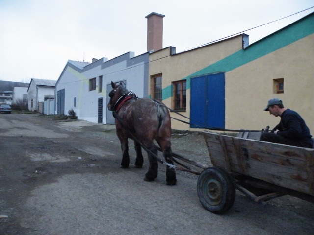 ScholaInNatura Fotogaleria