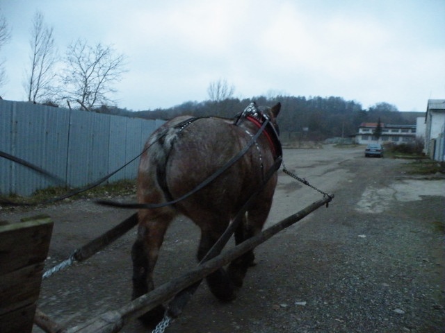 ScholaInNatura Fotogaleria
