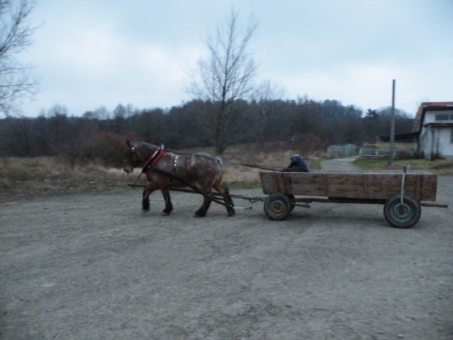 ScholaInNatura Fotogaleria