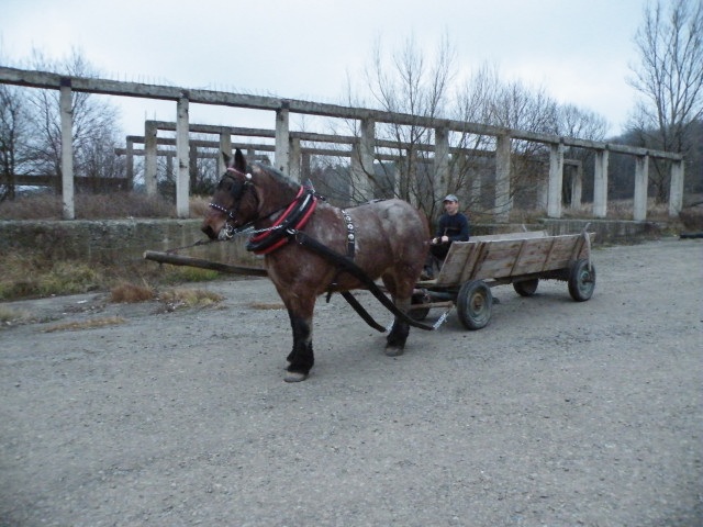 ScholaInNatura Fotogaleria