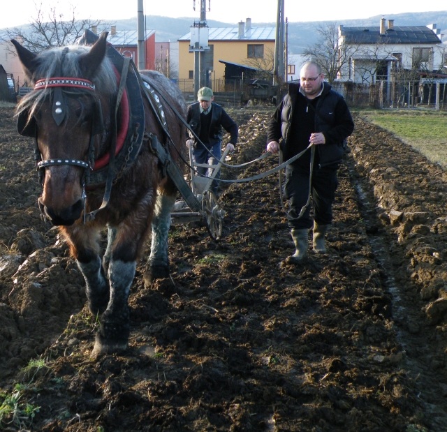 ScholaInNatura Fotogaleria