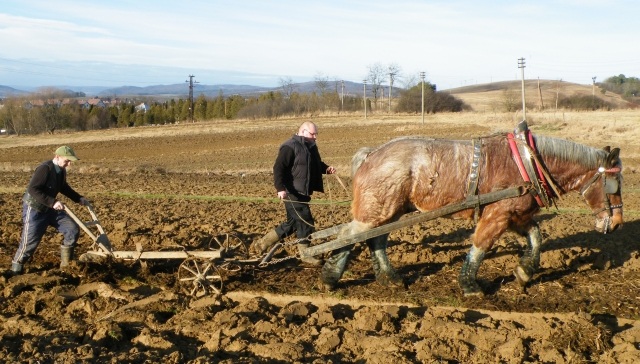 ScholaInNatura Fotogaleria