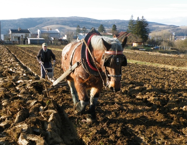 ScholaInNatura Fotogaleria