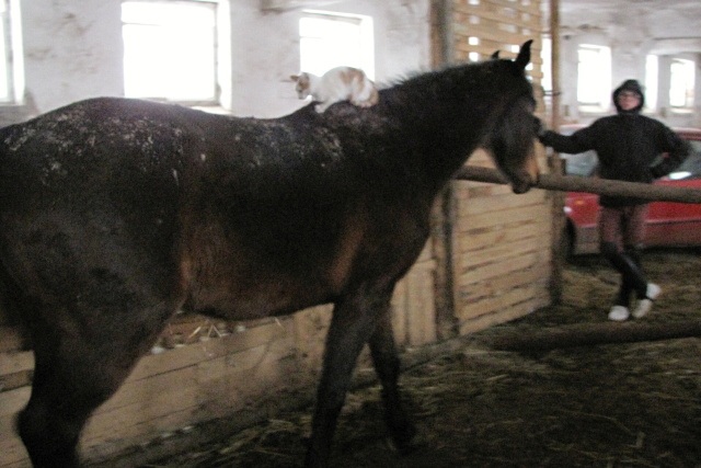 ScholaInNatura Fotogaleria