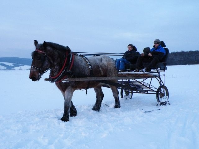 ScholaInNatura Fotogaleria