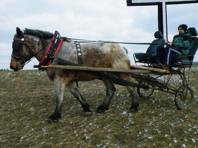 ScholaInNatura Fotogaleria