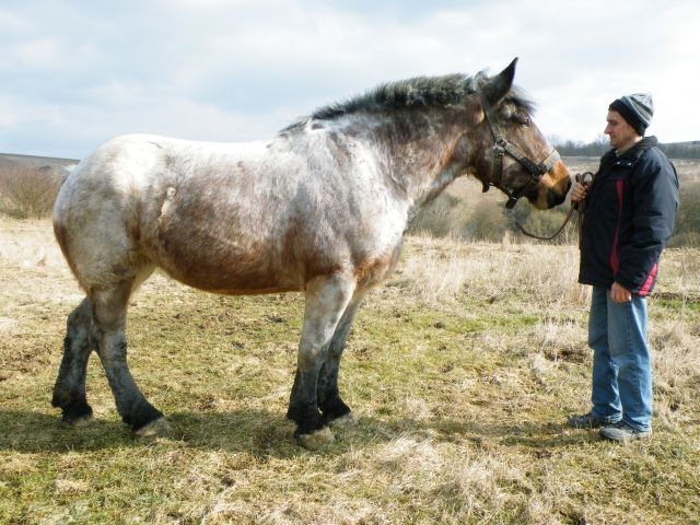 ScholaInNatura Fotogaleria