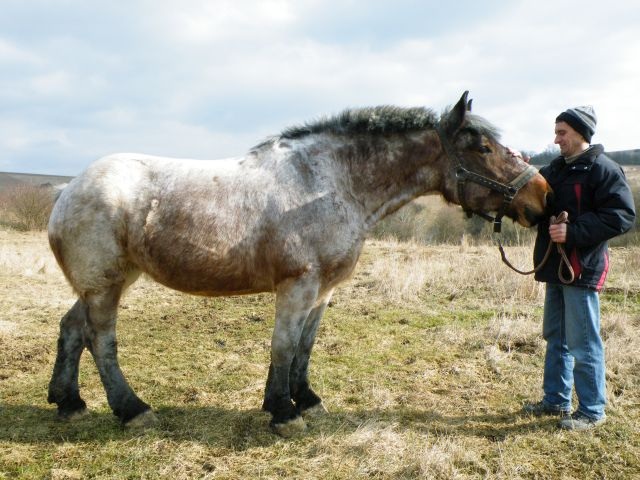 ScholaInNatura Fotogaleria