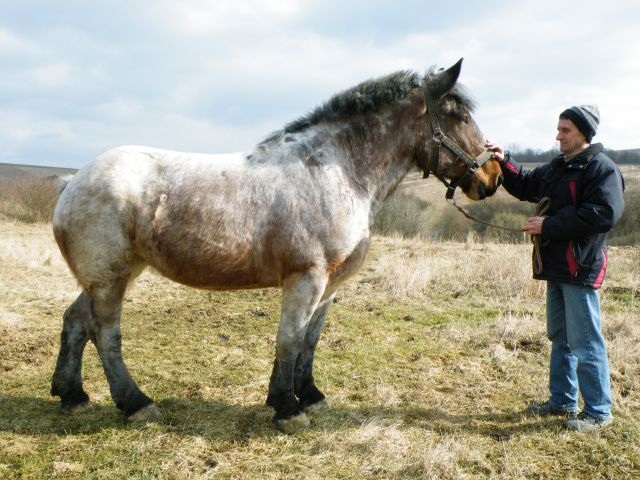 ScholaInNatura Fotogaleria