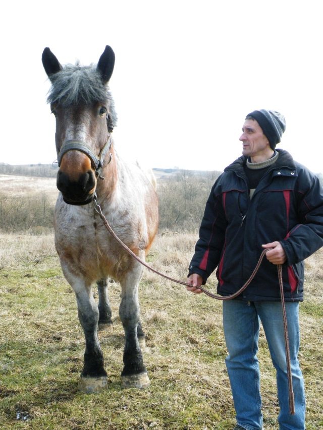 ScholaInNatura Fotogaleria