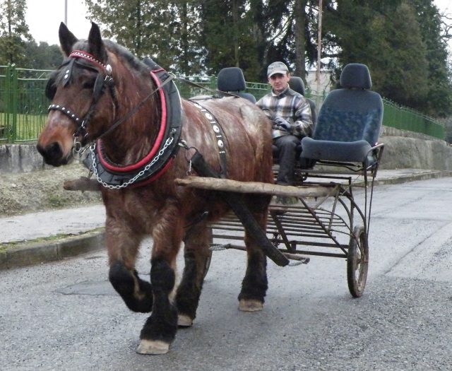 ScholaInNatura Fotogaleria
