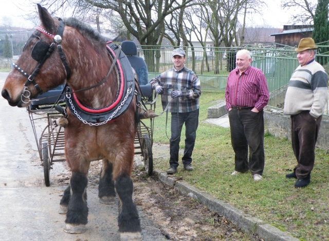ScholaInNatura Fotogaleria