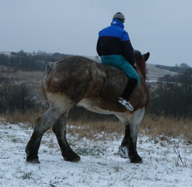 ScholaInNatura Fotogaleria