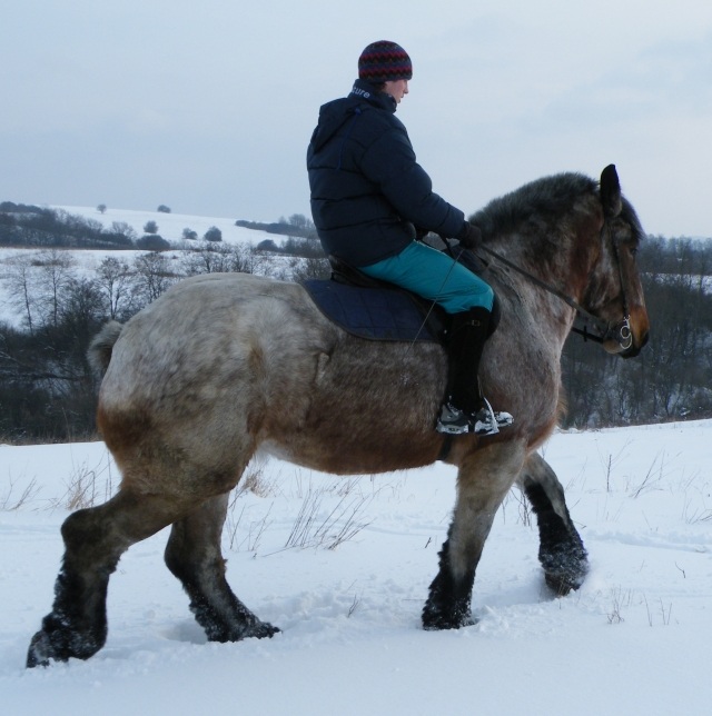ScholaInNatura Fotogaleria