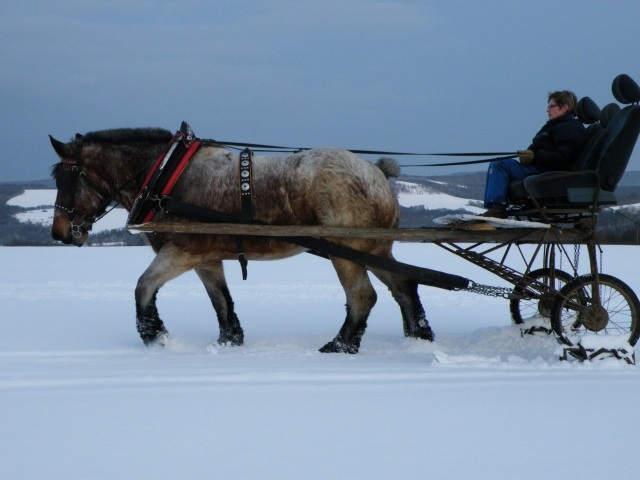 ScholaInNatura Fotogaleria