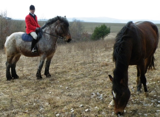 ScholaInNatura Fotogaleria