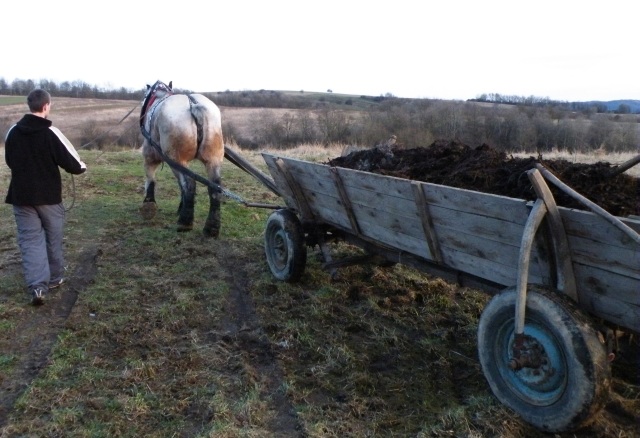 ScholaInNatura Fotogaleria