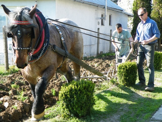 ScholaInNatura Fotogaleria