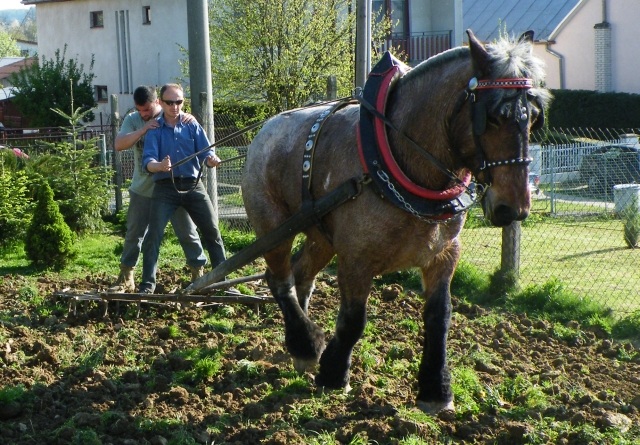 ScholaInNatura Fotogaleria