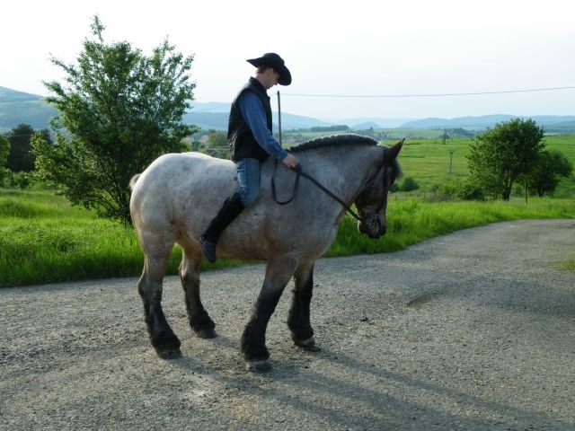 ScholaInNatura Fotogaleria