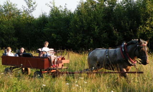ScholaInNatura Fotogaleria