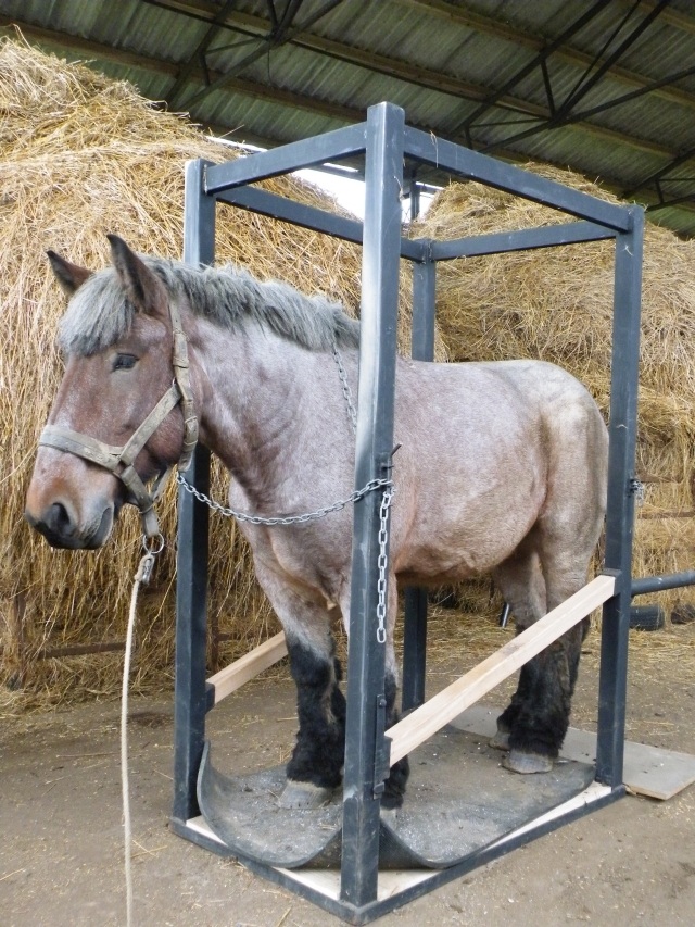 ScholaInNatura Fotogaleria