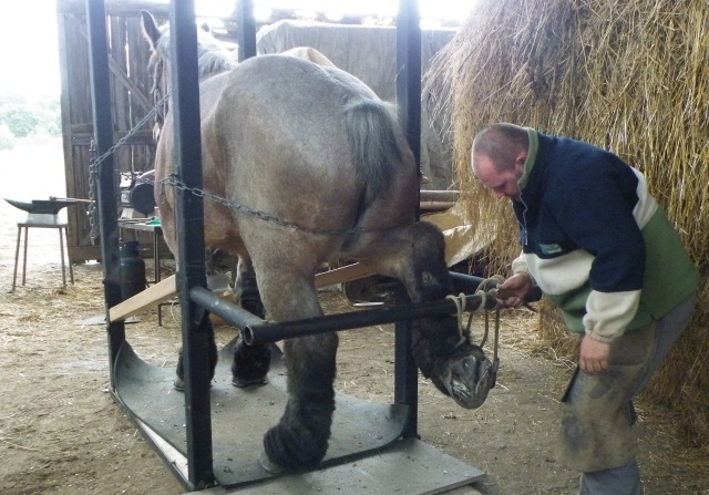 ScholaInNatura Fotogaleria