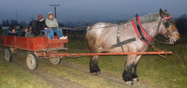 ScholaInNatura Fotogaleria
