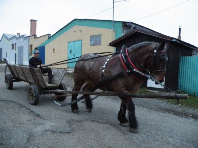 ScholaInNatura Fotogaleria