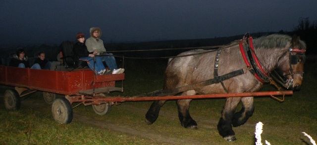 ScholaInNatura Fotogaleria