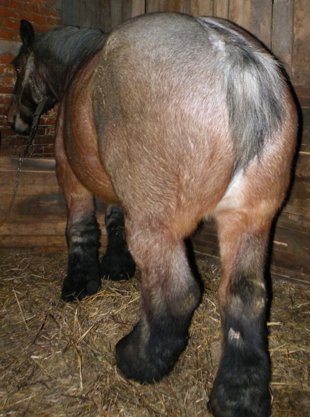 ScholaInNatura Fotogaleria