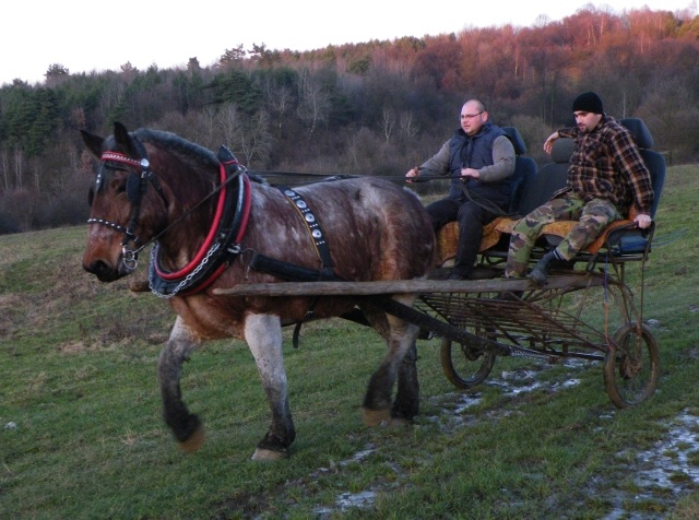 ScholaInNatura Fotogaleria