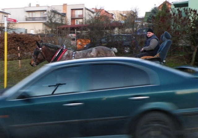 ScholaInNatura Fotogaleria