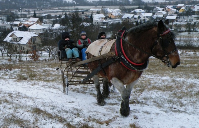 ScholaInNatura Fotogaleria