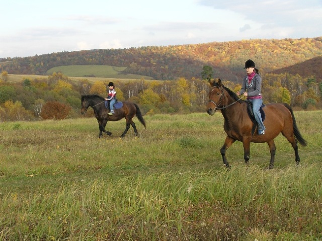 ScholaInNatura Fotogaleria