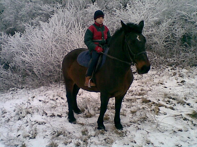 ScholaInNatura Fotogaleria