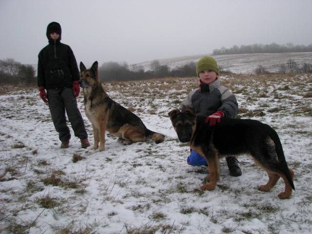 ScholaInNatura Fotogaleria