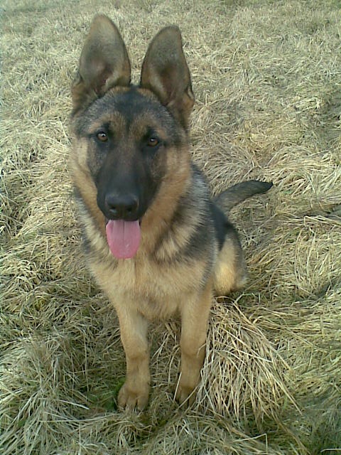 ScholaInNatura Fotogaleria