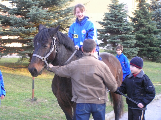 ScholaInNatura Fotogaleria
