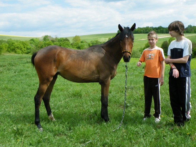 ScholaInNatura Fotogaleria