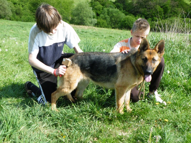 ScholaInNatura Fotogaleria