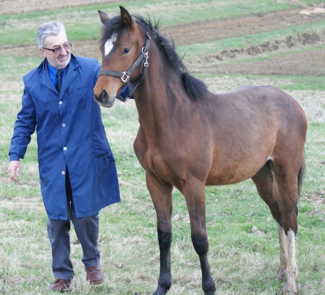 ScholaInNatura Fotogaleria