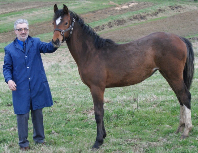 ScholaInNatura Fotogaleria