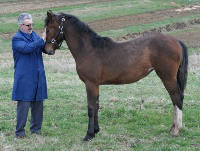 ScholaInNatura Fotogaleria