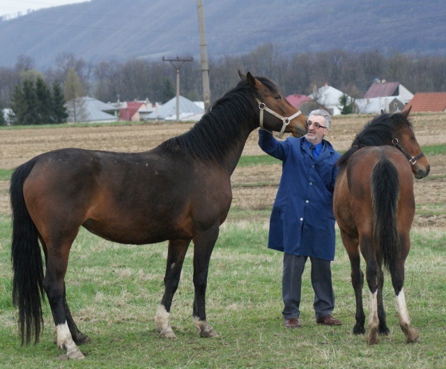 ScholaInNatura Fotogaleria